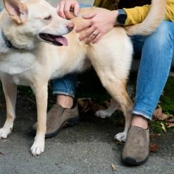 Merrell Jungle Moc Shoes - Women's 11 Merrell Jungle Moc Shoes - Women's -Garmin Shop 1e5085bc d360 453b b4b5 e660a29f2e0a