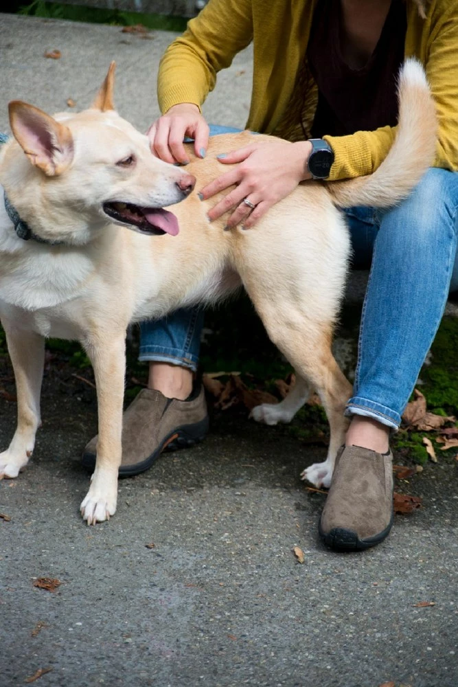 Merrell Jungle Moc Shoes - Women's 5 Merrell Jungle Moc Shoes - Women's - Image 5