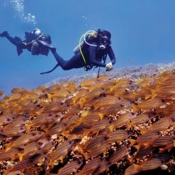 Garmin Descent G1 Solar -Garmin Shop 819dba12 a0e6 479a 9f35 227bd8dfdc42